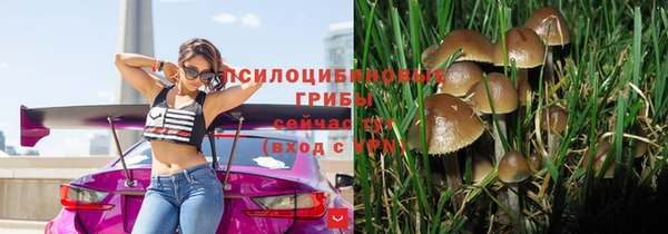 спиды Алексин