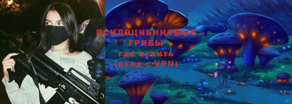 спиды Алексин